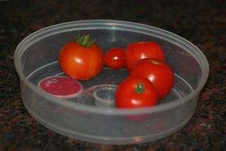 tomato1.png tomato1.png