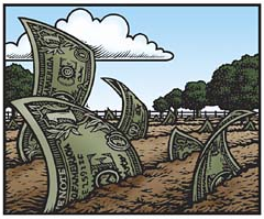 moneyfarm.png moneyfarm.png